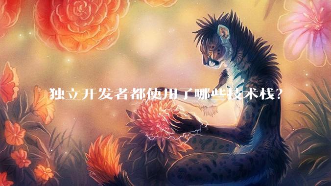 独立开发者都使用了哪些技术栈？