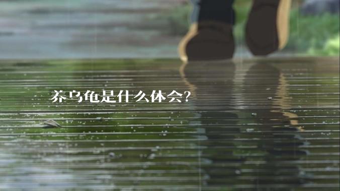 养乌龟是什么体会？