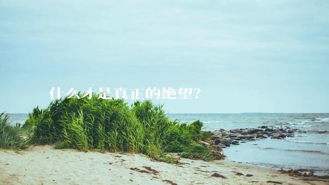 什么才是真正的绝望？