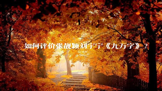 如何评价张靓颖刘宇宁《九万字》?