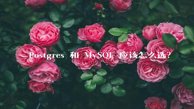 Postgres 和 MySQL 应该怎么选？