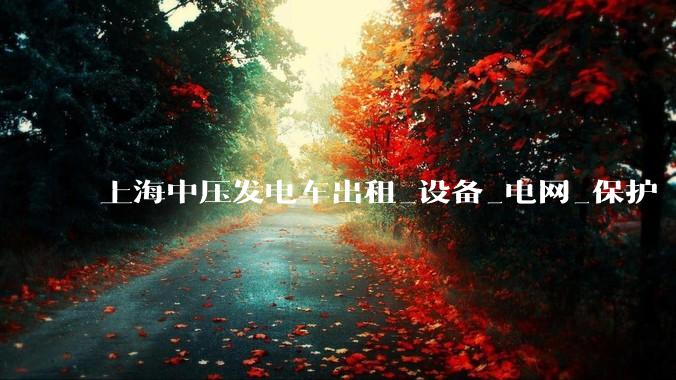 上海中压发电车出租_设备_电网_保护