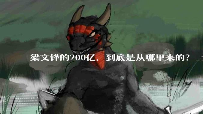 梁文锋的200亿，到底是从哪里来的？_量化_DeepSeek_资金