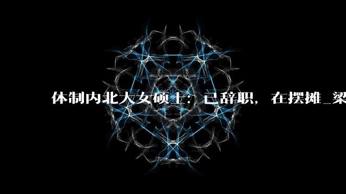 体制内北大女硕士：已辞职，在摆摊_梁忠_山东_摊位