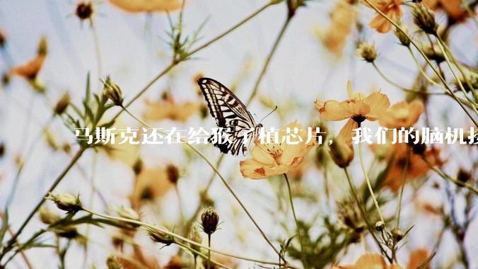 马斯克还在给猴子植芯片，我们的脑机接口已经能刷医保了？_老杨_患者_设备