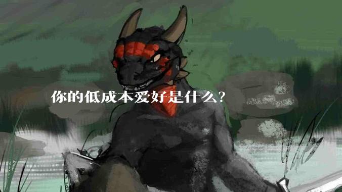 你的低成本爱好是什么？