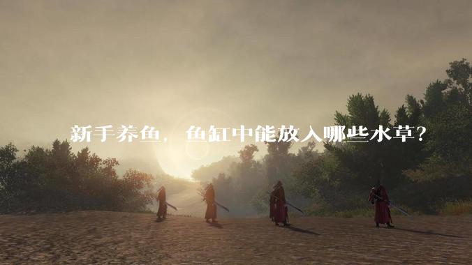 新手养鱼，鱼缸中能放入哪些水草？
