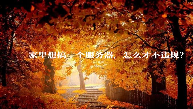家里想搞一个服务器，怎么才不违规？