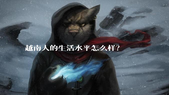 越南人的生活水平怎么样？