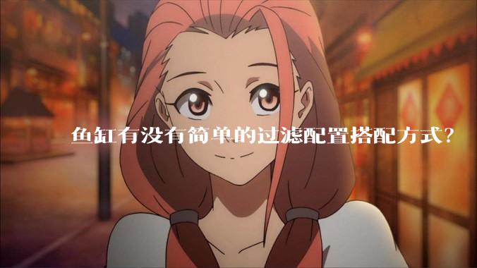 鱼缸有没有简单的过滤配置搭配方式？