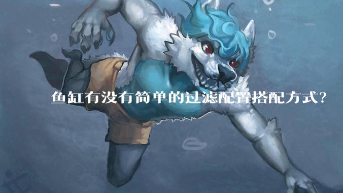 鱼缸有没有简单的过滤配置搭配方式？