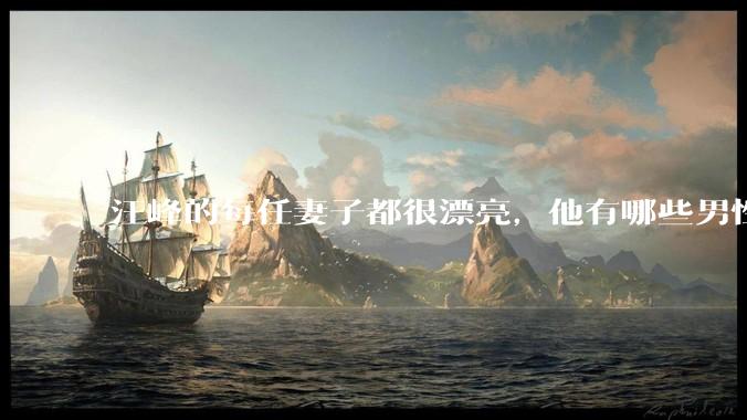 汪峰的每任妻子都很漂亮，他有哪些男性魅力？