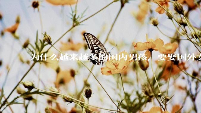 为什么越来越多的国内男孩，要娶国外女孩?