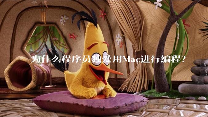 为什么程序员独爱用Mac进行编程？
