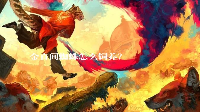 金直间蜘蛛怎么饲养？