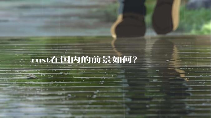 rust在国内的前景如何？