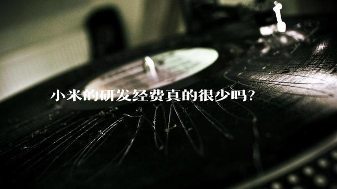 小米的研发经费真的很少吗？