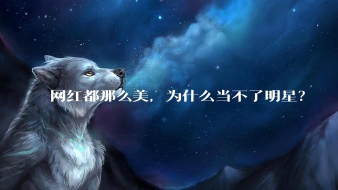 网红都那么美，为什么当不了明星？