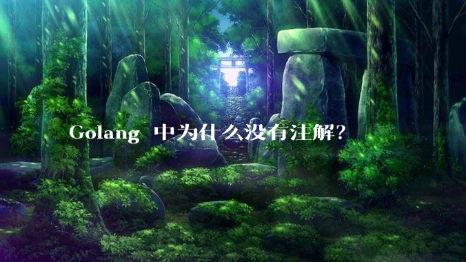 Golang 中为什么没有注解？