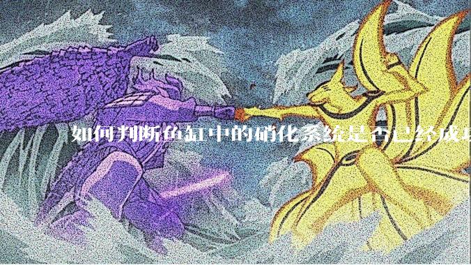 如何判断鱼缸中的硝化系统是否已经成功建立？