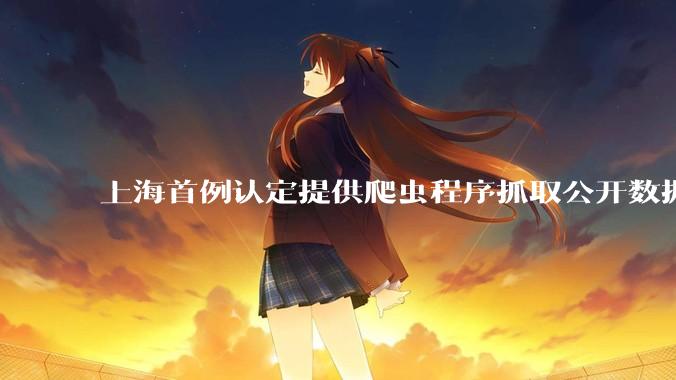 上海首例认定提供爬虫程序抓取公开数据构成提供侵入计算机信息系统程序罪案，该案件有哪些细节值得关注？